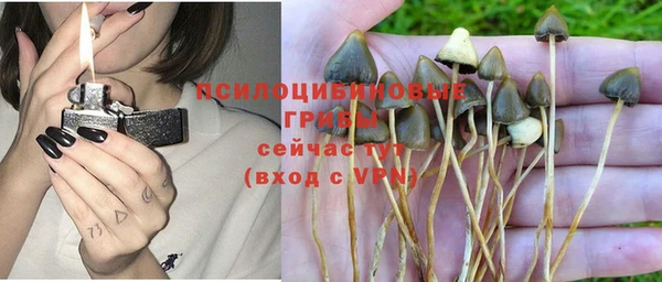 первитин Алексеевка