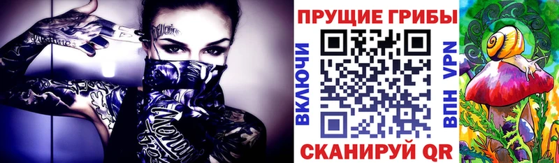Псилоцибиновые грибы GOLDEN TEACHER Нестеров